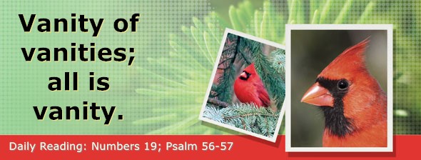 https://bibletruthpublishers.com/DailyLight/wp-content/uploads/dl-hdg-2026-260.jpg