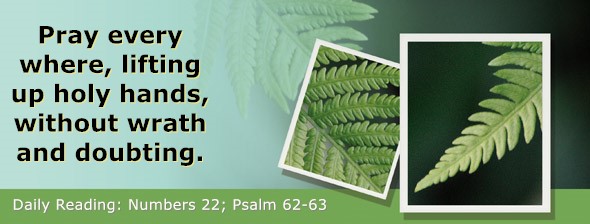 https://bibletruthpublishers.com/DailyLight/wp-content/uploads/dl-hdg-2026-265.jpg