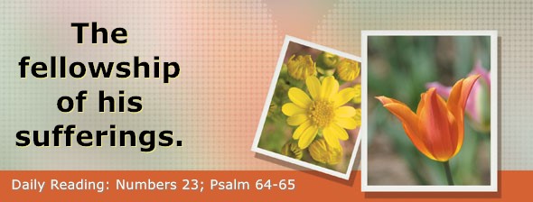 https://bibletruthpublishers.com/DailyLight/wp-content/uploads/dl-hdg-2026-267.jpg