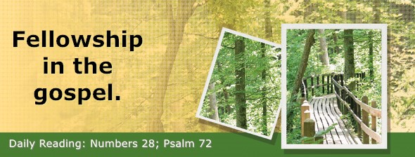 https://bibletruthpublishers.com/DailyLight/wp-content/uploads/dl-hdg-2026-278.jpg