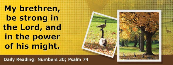 https://bibletruthpublishers.com/DailyLight/wp-content/uploads/dl-hdg-2026-281.jpg