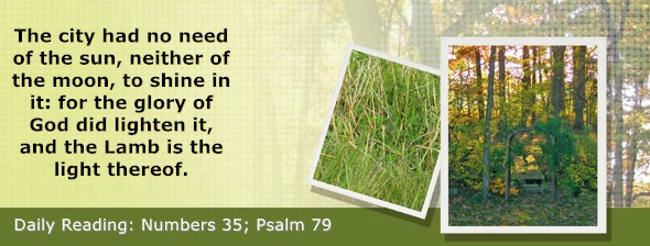 https://bibletruthpublishers.com/DailyLight/wp-content/uploads/dl-hdg-2026-292.jpg