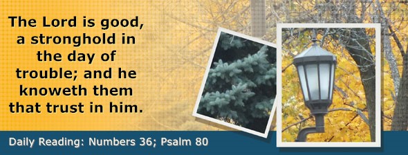 https://bibletruthpublishers.com/DailyLight/wp-content/uploads/dl-hdg-2026-293.jpg