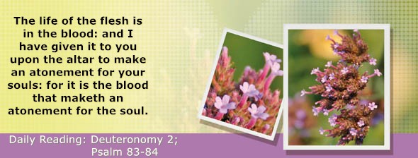 https://bibletruthpublishers.com/DailyLight/wp-content/uploads/dl-hdg-2026-297.jpg
