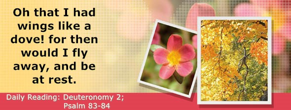 https://bibletruthpublishers.com/DailyLight/wp-content/uploads/dl-hdg-2026-298.jpg