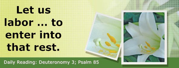 https://bibletruthpublishers.com/DailyLight/wp-content/uploads/dl-hdg-2026-299.jpg