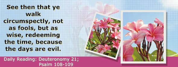 https://bibletruthpublishers.com/DailyLight/wp-content/uploads/dl-hdg-2026-333.jpg