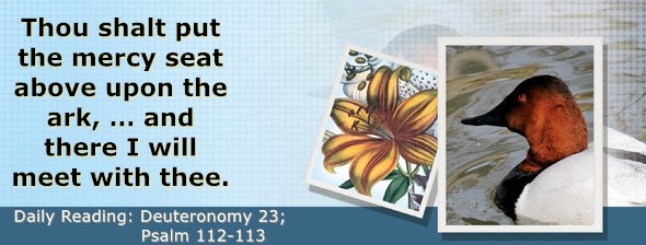 https://bibletruthpublishers.com/DailyLight/wp-content/uploads/dl-hdg-2026-337.jpg