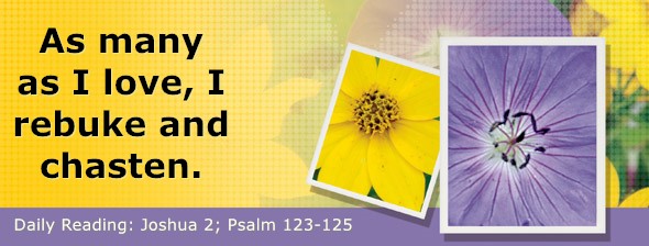 https://bibletruthpublishers.com/DailyLight/wp-content/uploads/dl-hdg-2026-361.jpg