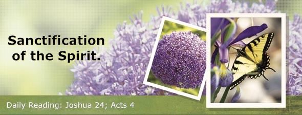 https://bibletruthpublishers.com/DailyLight/wp-content/uploads/dl-hdg-2026-396.jpg