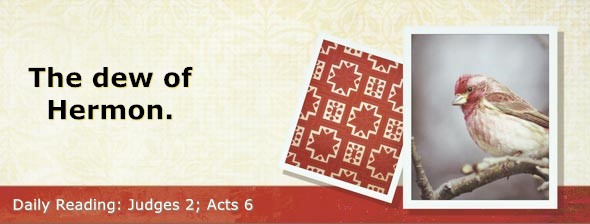 https://bibletruthpublishers.com/DailyLight/wp-content/uploads/dl-hdg-2026-400.jpg