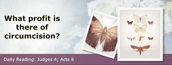 https://bibletruthpublishers.com/DailyLight/wp-content/uploads/dl-hdg-2026-403.jpg