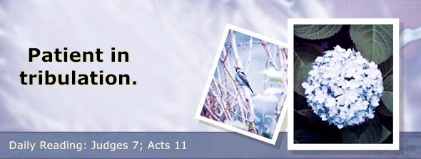 https://bibletruthpublishers.com/DailyLight/wp-content/uploads/dl-hdg-2026-409.jpg