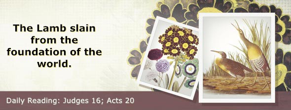 https://bibletruthpublishers.com/DailyLight/wp-content/uploads/dl-hdg-2026-427.jpg