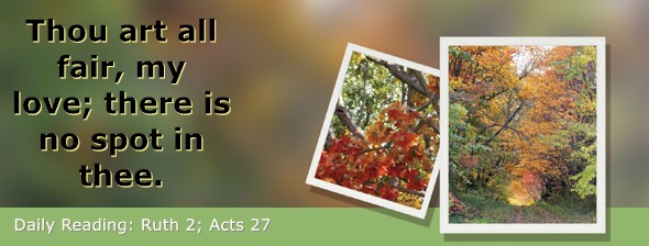 https://bibletruthpublishers.com/DailyLight/wp-content/uploads/dl-hdg-2026-441.jpg