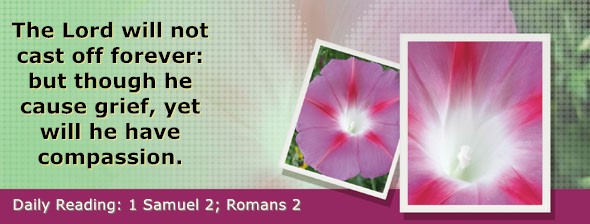 https://bibletruthpublishers.com/DailyLight/wp-content/uploads/dl-hdg-2026-447.jpg