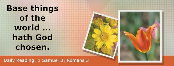 https://bibletruthpublishers.com/DailyLight/wp-content/uploads/dl-hdg-2026-450.jpg
