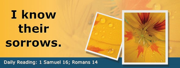 https://bibletruthpublishers.com/DailyLight/wp-content/uploads/dl-hdg-2026-471.jpg