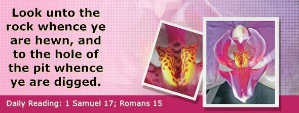 https://bibletruthpublishers.com/DailyLight/wp-content/uploads/dl-hdg-2026-473.jpg