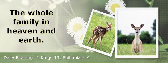 https://bibletruthpublishers.com/DailyLight/wp-content/uploads/dl-hdg-2026-565.jpg