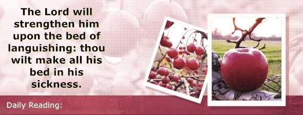 https://bibletruthpublishers.com/DailyLightEvening/wp-content/uploads/dl-hdg-2020-196.jpg