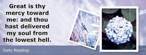 https://bibletruthpublishers.com/DailyLightEvening/wp-content/uploads/dl-hdg-2020-226.jpg