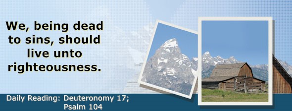 https://bibletruthpublishers.com/DailyLightEvening/wp-content/uploads/dl-hdg-2025-326.jpg