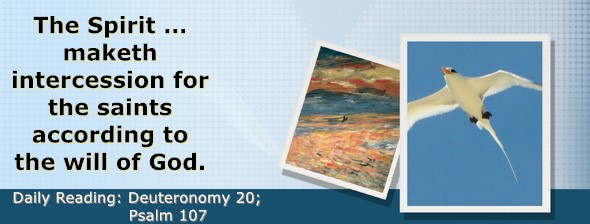 https://bibletruthpublishers.com/DailyLightEvening/wp-content/uploads/dl-hdg-2025-332.jpg