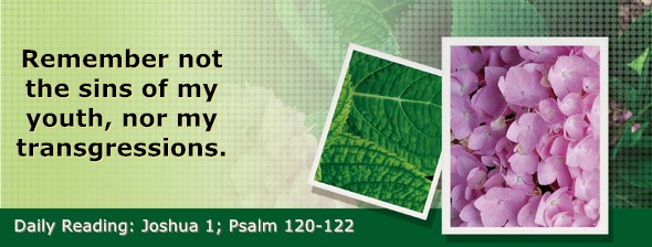 https://bibletruthpublishers.com/DailyLightEvening/wp-content/uploads/dl-hdg-2025-360.jpg