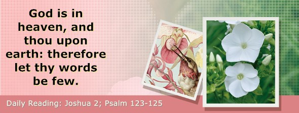 https://bibletruthpublishers.com/DailyLightEvening/wp-content/uploads/dl-hdg-2025-362.jpg