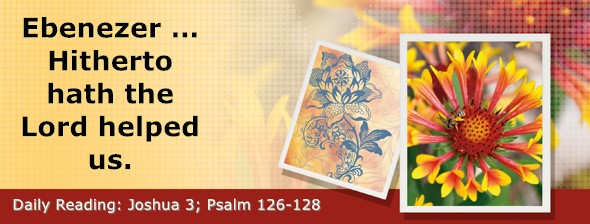 https://bibletruthpublishers.com/DailyLightEvening/wp-content/uploads/dl-hdg-2025-364.jpg