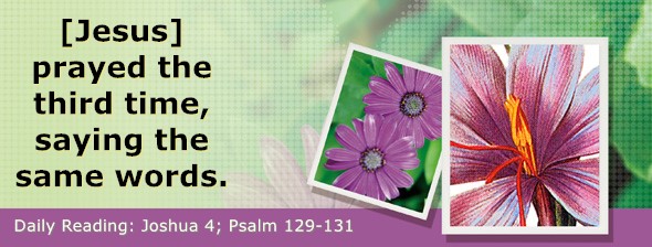 https://bibletruthpublishers.com/DailyLightEvening/wp-content/uploads/dl-hdg-2025-366.jpg