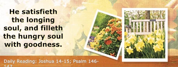 https://bibletruthpublishers.com/DailyLightEvening/wp-content/uploads/dl-hdg-2025-384.jpg