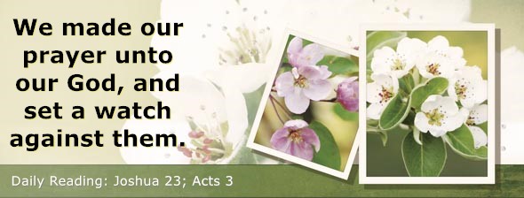https://bibletruthpublishers.com/DailyLightEvening/wp-content/uploads/dl-hdg-2025-394.jpg