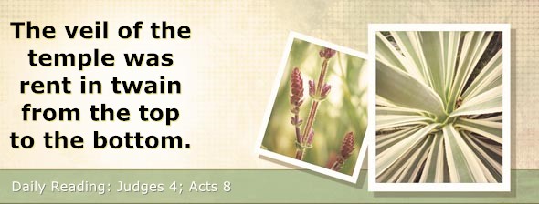 https://bibletruthpublishers.com/DailyLightEvening/wp-content/uploads/dl-hdg-2025-404.jpg