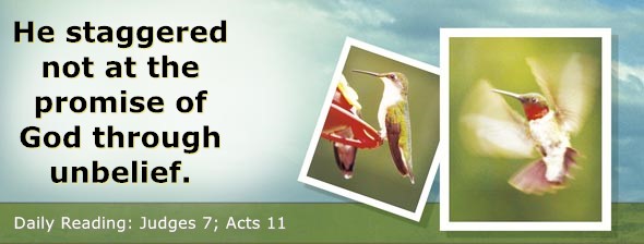 https://bibletruthpublishers.com/DailyLightEvening/wp-content/uploads/dl-hdg-2025-410.jpg