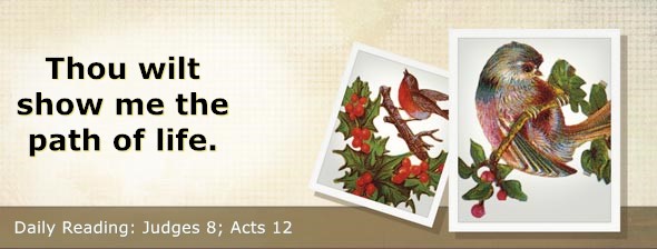 https://bibletruthpublishers.com/DailyLightEvening/wp-content/uploads/dl-hdg-2025-412.jpg