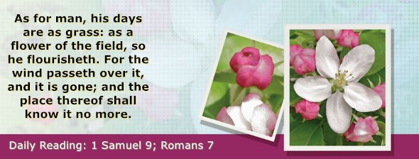 https://bibletruthpublishers.com/DailyLightEvening/wp-content/uploads/dl-hdg-2025-458.jpg