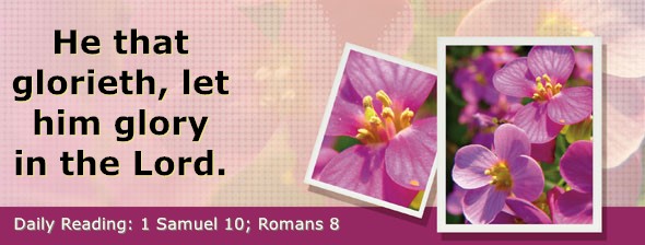 https://bibletruthpublishers.com/DailyLightEvening/wp-content/uploads/dl-hdg-2025-460.jpg