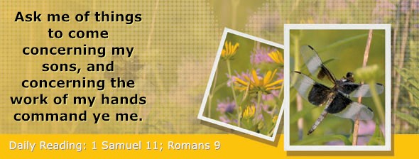 https://bibletruthpublishers.com/DailyLightEvening/wp-content/uploads/dl-hdg-2025-462.jpg