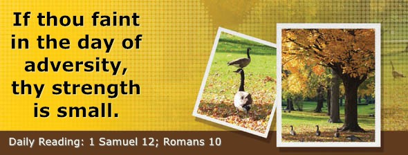 https://bibletruthpublishers.com/DailyLightEvening/wp-content/uploads/dl-hdg-2025-464.jpg