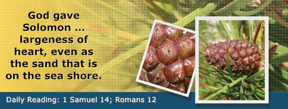 https://bibletruthpublishers.com/DailyLightEvening/wp-content/uploads/dl-hdg-2025-468.jpg