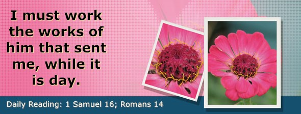 https://bibletruthpublishers.com/DailyLightEvening/wp-content/uploads/dl-hdg-2025-472.jpg