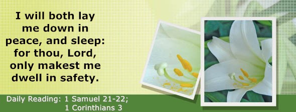 https://bibletruthpublishers.com/DailyLightEvening/wp-content/uploads/dl-hdg-2025-482.jpg
