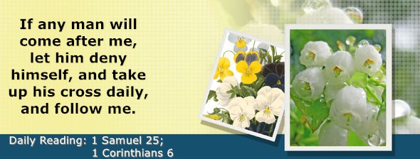 https://bibletruthpublishers.com/DailyLightEvening/wp-content/uploads/dl-hdg-2025-488.jpg