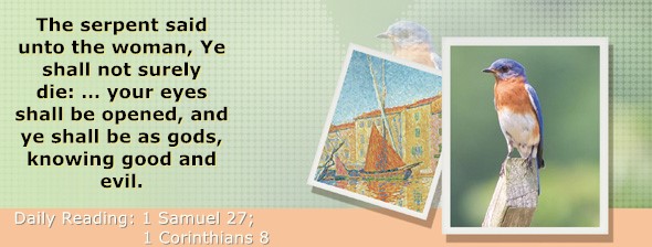 https://bibletruthpublishers.com/DailyLightEvening/wp-content/uploads/dl-hdg-2025-492.jpg