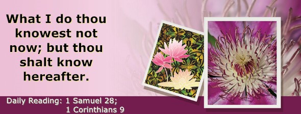 https://bibletruthpublishers.com/DailyLightEvening/wp-content/uploads/dl-hdg-2025-494.jpg