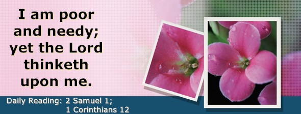 https://bibletruthpublishers.com/DailyLightEvening/wp-content/uploads/dl-hdg-2025-500.jpg