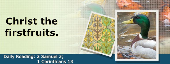 https://bibletruthpublishers.com/DailyLightEvening/wp-content/uploads/dl-hdg-2025-502.jpg