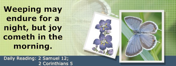https://bibletruthpublishers.com/DailyLightEvening/wp-content/uploads/dl-hdg-2025-518.jpg
